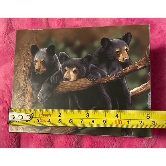 Wooden Box  Bear Family Nature Scene Keepsake Gift Quote Love Notes Bronson MO - Picture 10 of 14